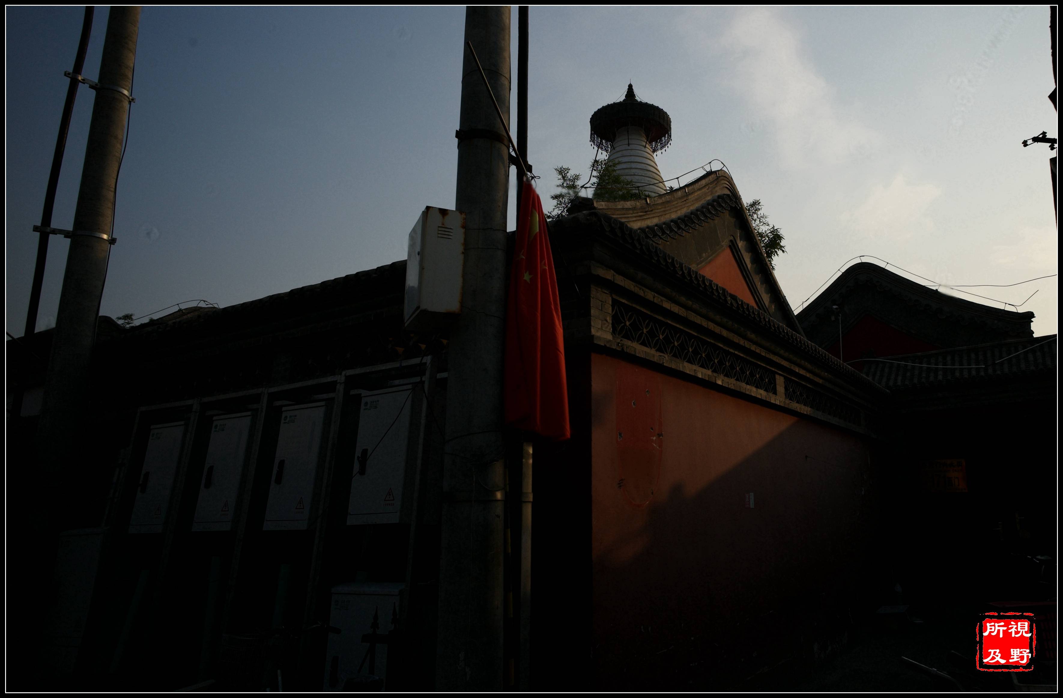 上海评出20名红领巾科创达人，将参评上海少科院“小院士” v5.87.9.05官方正式版