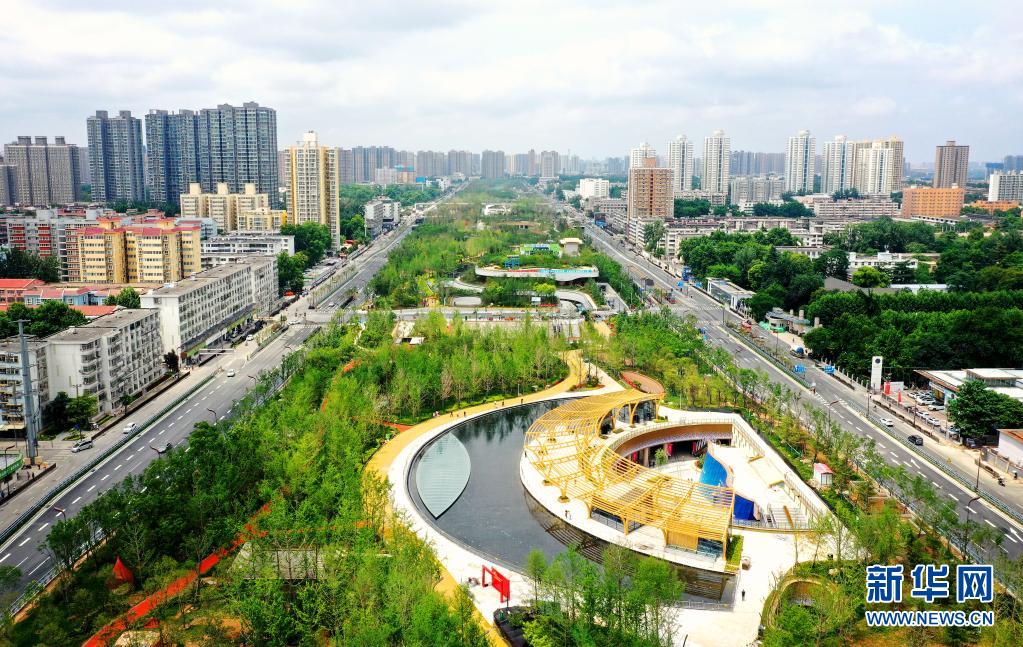 银川将以“青”字牌六大工程推进青年发展型城市建设