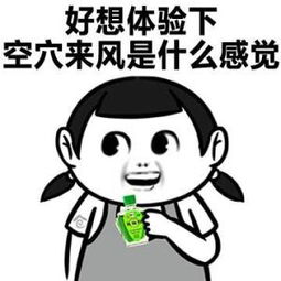 财政部部长刘昆：稳字当头稳中求进 实施好积极的财政政策
