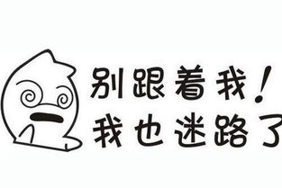 广东省青年志愿者协会第四次会员代表大会召开 v9.00.9.17官方正式版