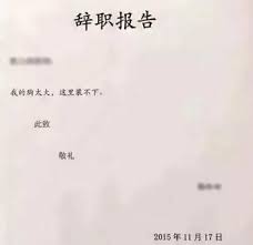 广西南宁成立服务重大项目青年突击队 v1.99.5.45官方正式版