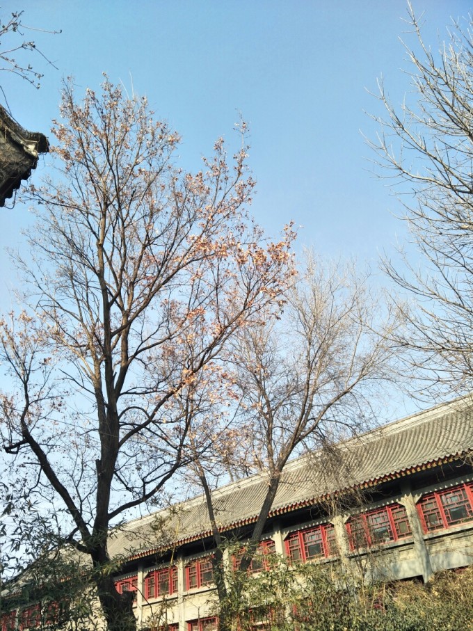 北京地铁：2023年1月1日6:40至7:40天安门东站等多站封闭 v9.58.7.65官方正式版