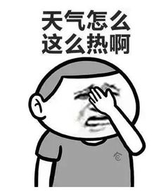 傅首尔为站台趣店道歉，贾乃亮还未发声 v3.65.6.47官方正式版